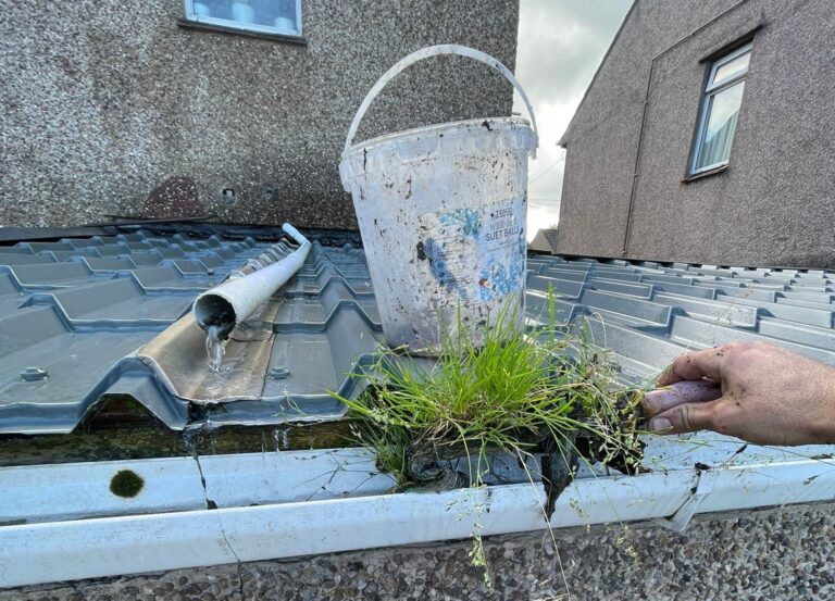 Clogged gutter filled with moss and debris before cleaning