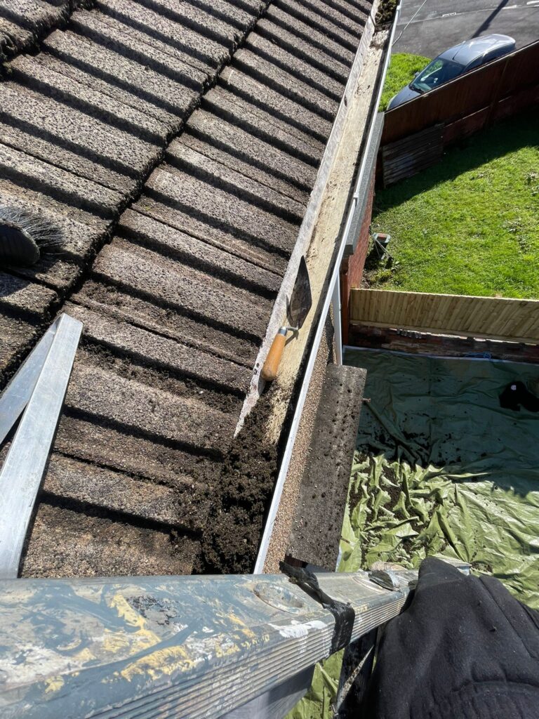 before gutter cleaning